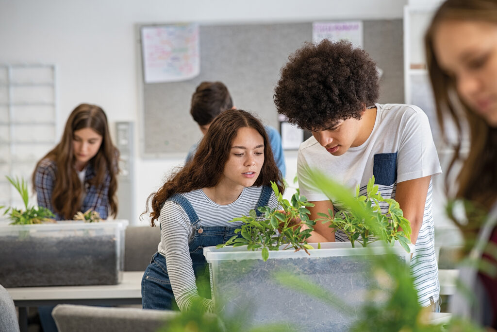 Summer Camp: laboratori didattici di bioedilizia per l’orientamento